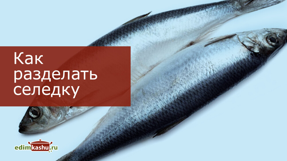 Разделка селедки