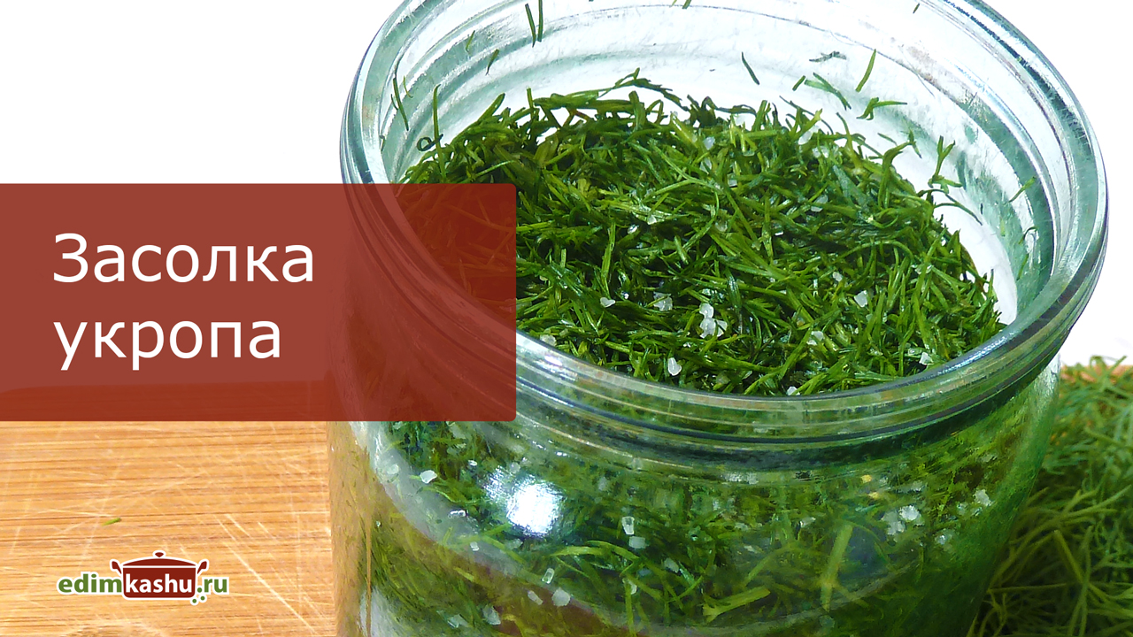 Засолка укропа на зиму