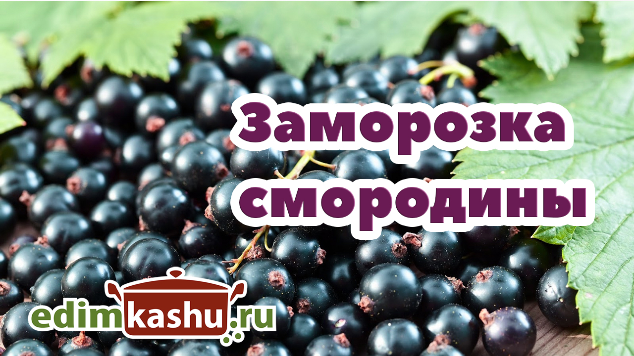 Заморозка смородины