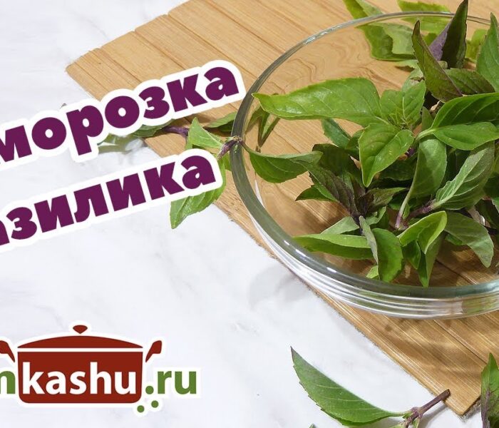 Как заморозить базилик на зиму