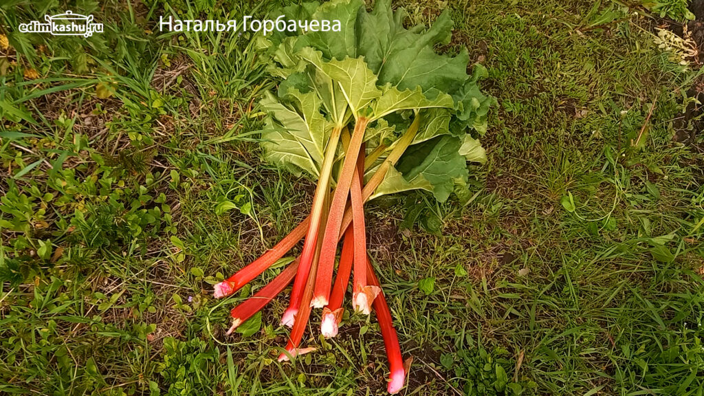 ревень